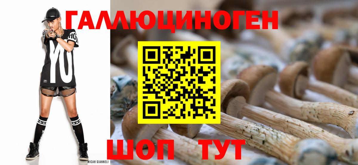 Галлюциногенные грибы мухоморы Заводоуковск