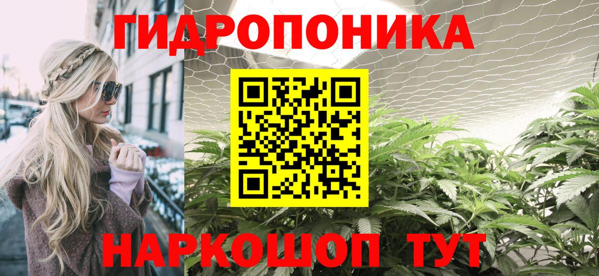 Канабис AK-47  Бошки Шишки семена  Вход с VPN  Заводоуковск  Шишки марихуана SATIVA & INDICA 